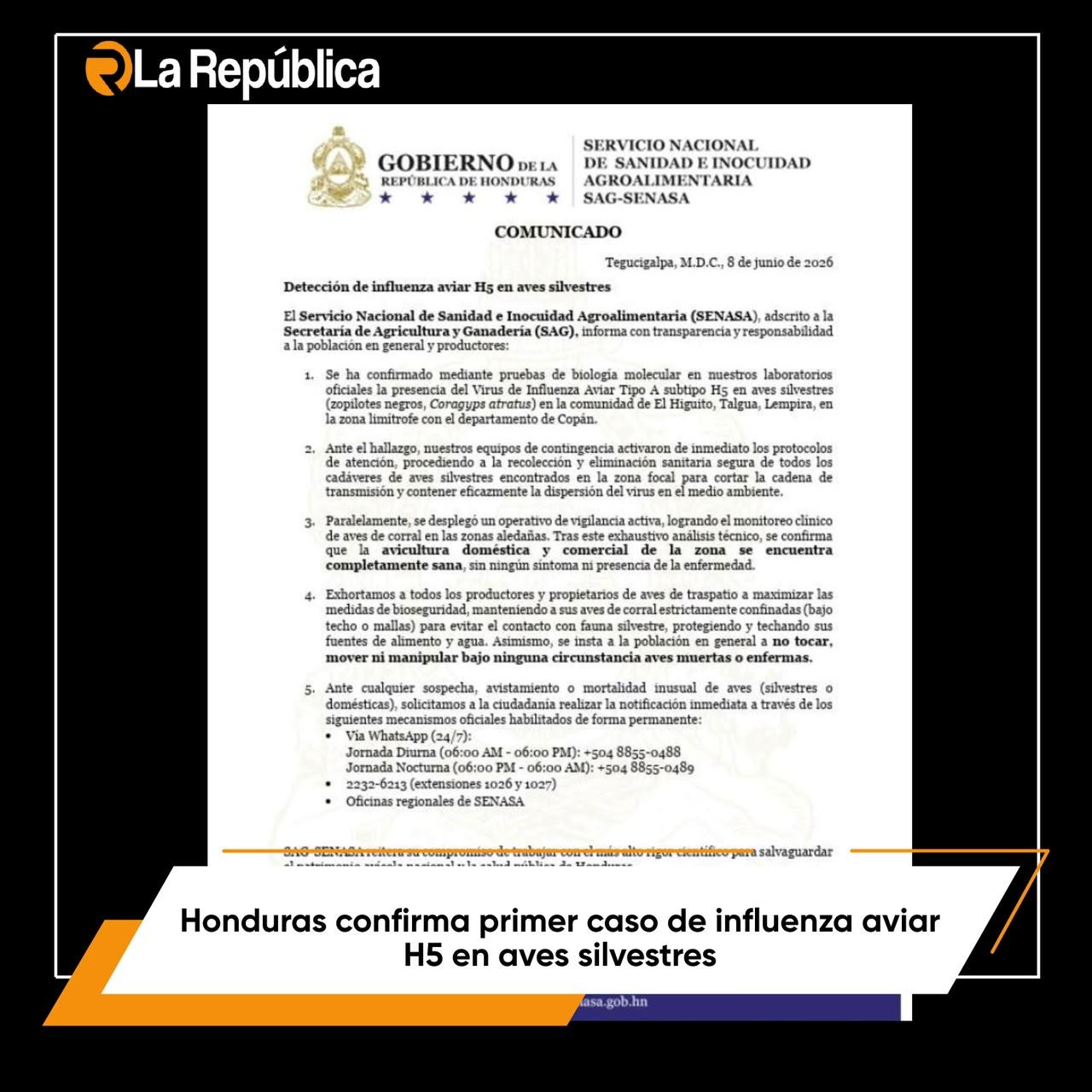 El Servicio Nacional de Sanidad e Inocuidad Agroalimentaria (SENASA), adscrito a la Secretaría de Agricultura y Ganadería (SAG), confirmó la - Cover Image